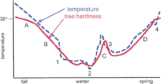temperature patterns alter hardiness