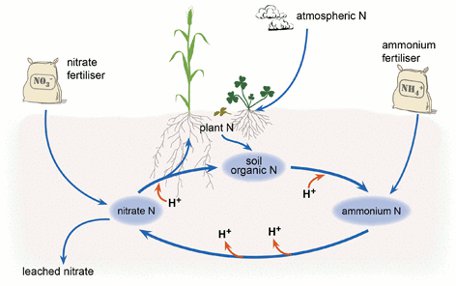 how fertilizer increases soil acidity