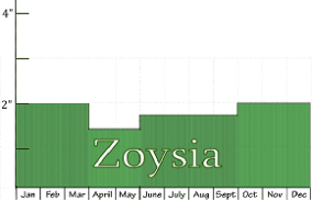 recommended monthly zoysia height