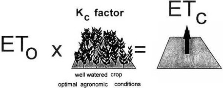 crop factor
